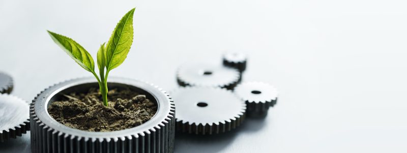 Process Automation: Principles for Sustainable Growth
